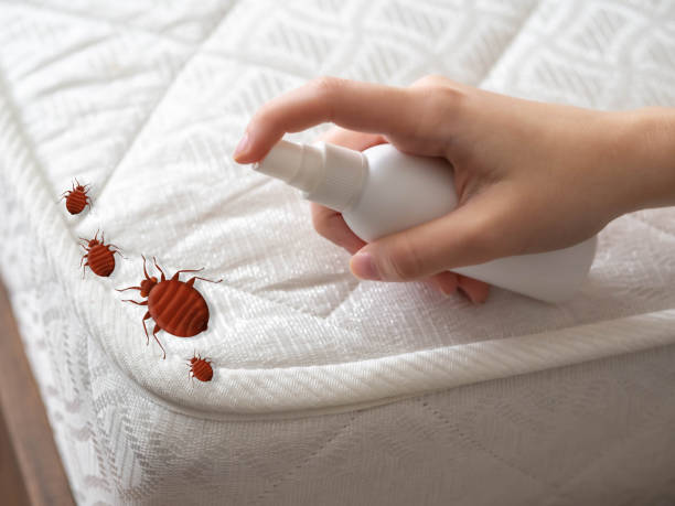 Best Pest Prevention Services  in Shepherdstown, WV